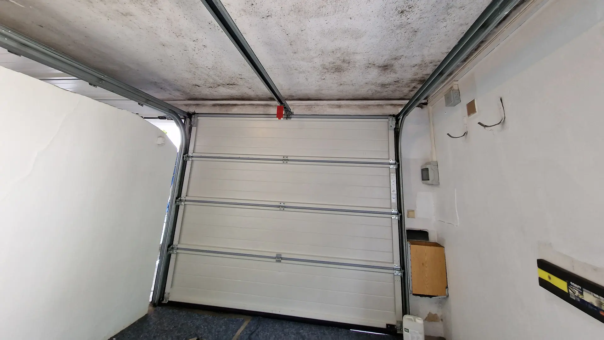 Massiver Schimmelbefall im Wohnraum