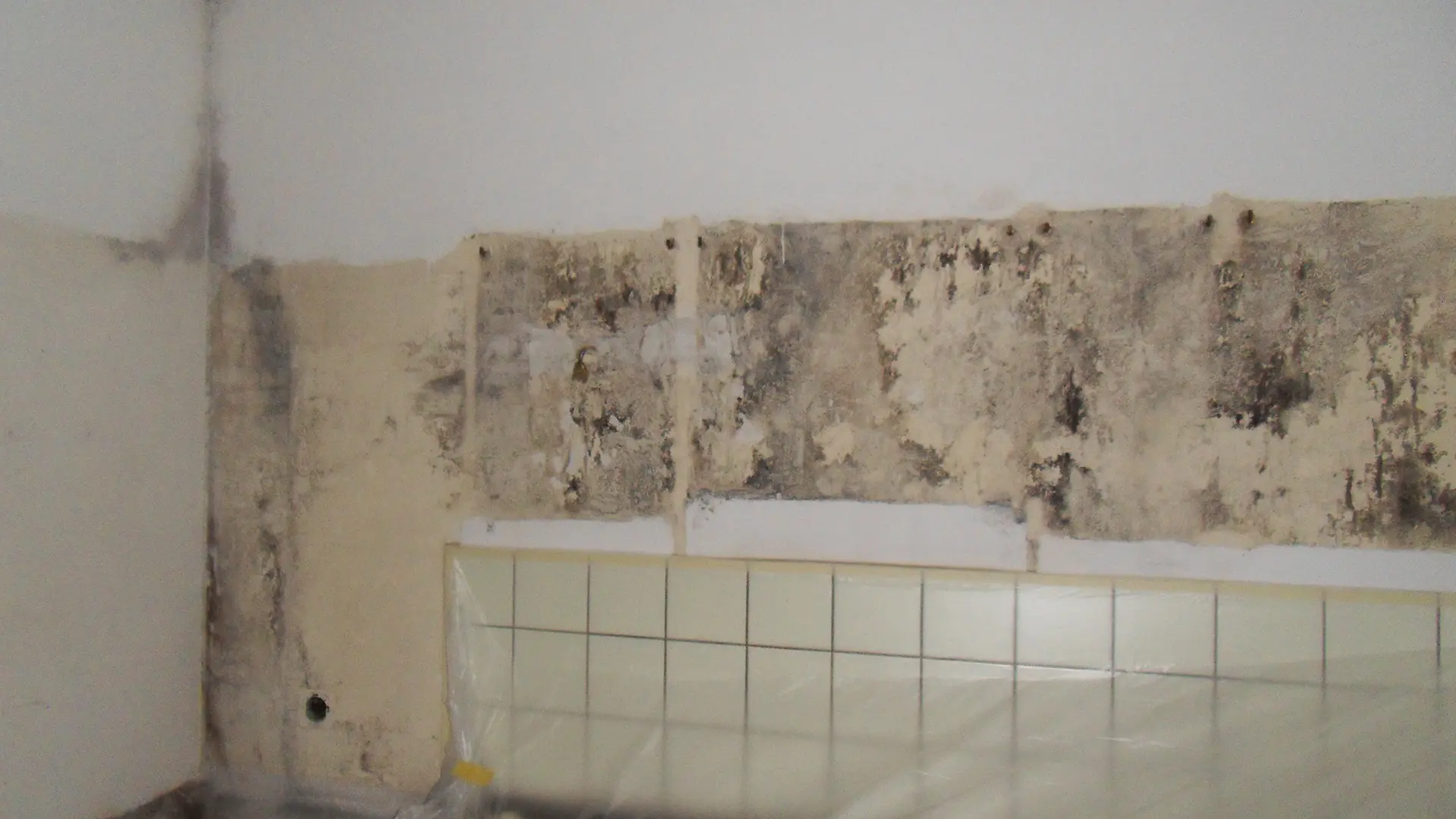 Thermografie Straubing Schimmelursache Wärmebrücken