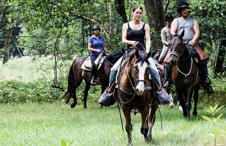 weiterbilden, harmonisch, Beziehung, Partnerpferd, Fair, respektvoll, Umgang, resultiert, ursprünglich, US-amerikanisch, Ranch-Reitweise, Bodenarbeit, Haltung, Pflege, Horseman, hervorragend, praktisch, theoretisch, Kenntniss, Faszination, exklusiv, Wissen, professionell, Instruktor, Deutschland, profitieren, Teilnehmer, Kommunikation, Sinne, Horsemanship-Gedanken, verbessern, Population, registriert, außerhalb, Kontinent, staatlich, anerkannt, Zuchtverband, vollwertig, AQHA Affiliate Status, Datashareagreement, Austausch, zuchtrelevant, Daten, Mutterverband, Alleinstellungsmerkmal, Vorteil, Mitglieder, Züchter, Zuchtgeschehen, Bedeckungsmeldung, Geburtsmeldung, Equidenpass-Erstellung, Zuchtschausaison, Zuchtbuch, Zuchtschau, Zuchtziel, vielseitig, verwendbar, gezüchtet, Freizeitsport, Turniersport, Rennsport, geeignet, Ausprägung, rassetypisch, Körperform, Bewegung, hart, Konstitution, Ausdauer, Gesundheit, Genügsamkeit, besitzen, Wert, positiv, Charaktereigenschaft